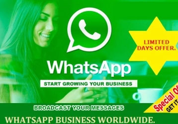 Borrow - Loan Company Website Template 